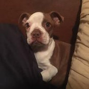 Josh Lux's photo