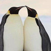 Cathy Yeager's photo