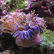 Dave Penney's photo