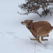 Donna Gilleland's photo