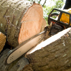 Dunkel Tree Service LLC