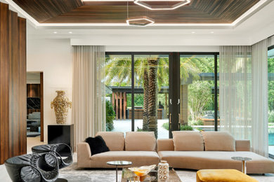 This is an example of a contemporary living room in Other.