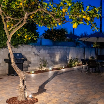 Illuminated Lemon Tree Feature on Paver Patio | Manhattan Beach Backyard Lightin