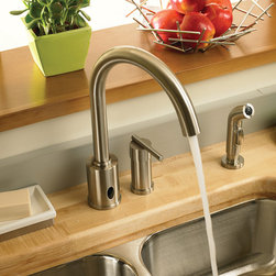 Danze Parma Single Handle Hands Free Faucet - Kitchen Faucets