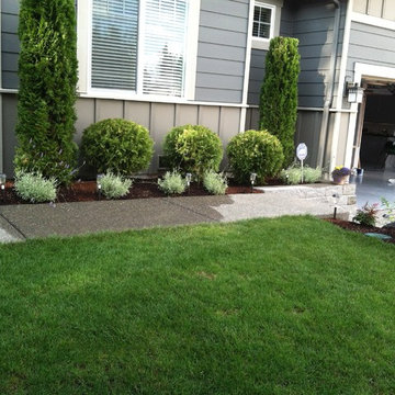 Edmonds Backyard