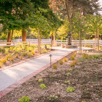 Walnut Creek Front Yard Landscape