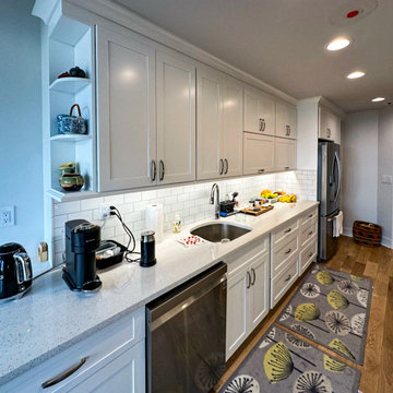 Luxury Apartment Renovation