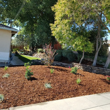 Drought Tolerant