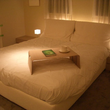 Model