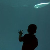 J.P. Formento's photo