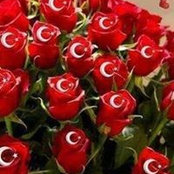 Türk İhsan Koçulu's photo
