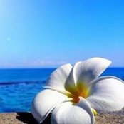 Wendy Alvarez's photo