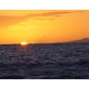 Selma Al-Salam's photo
