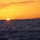 webuser_6858552