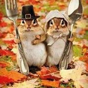 Kerri Kimel's photo