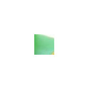 Dion De Freitas's photo