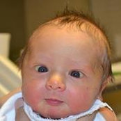 Andrea Gomez-Erickson's photo