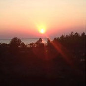 Kelly McGinn's photo