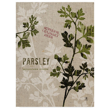 "Organic Parsley No Butterfly" by Studio Mousseau, Canvas Art, 24"x18"