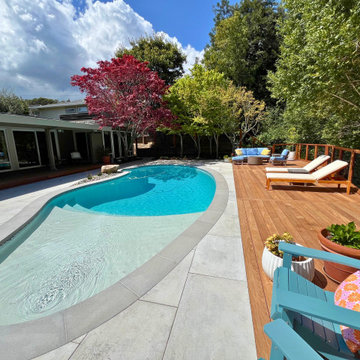 Backyard Pool Deck in San Rafael