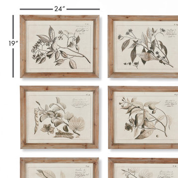 6-Piece Fruit Bearing Branch Illustrations Set