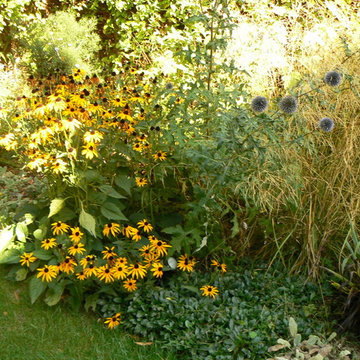 JARDIN SURESNES