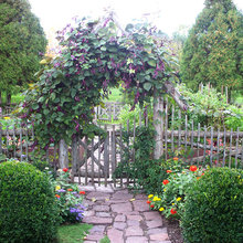 Vegetable Garden