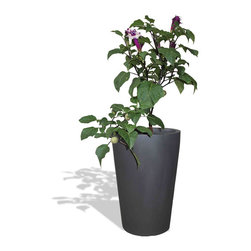 Pego Oval Planter - Products