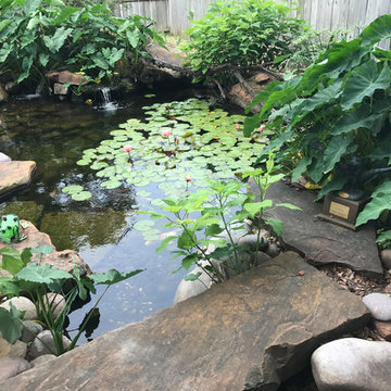 Ponds/Pondless