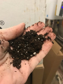 Questions About Soil Mixes Turface Vs Napa Floor Dry Etc
