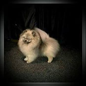 Maria Bujak's photo