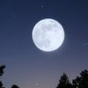 Vivek Aseeja's photo
