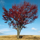 Celso Olivares's photo
