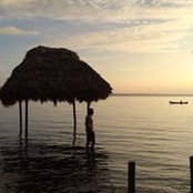 Arturo Solis's photo