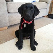 Matt Parkin's photo