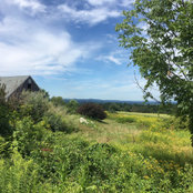 Suzanne Brandt's photo