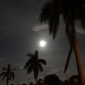 Tina Henderson's photo