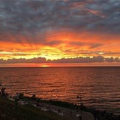 Molly Brown's photo