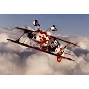 Tyler Stevens's photo