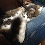 Carol de Vries's photo