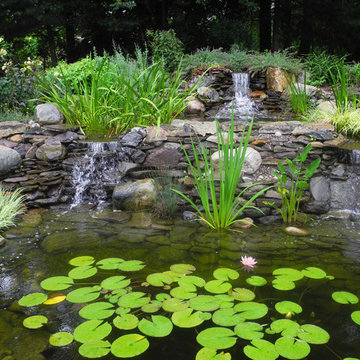 Ponds & Waterfeatures