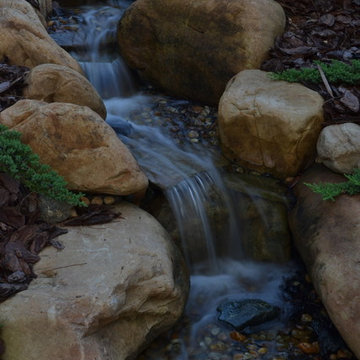 Water Features
