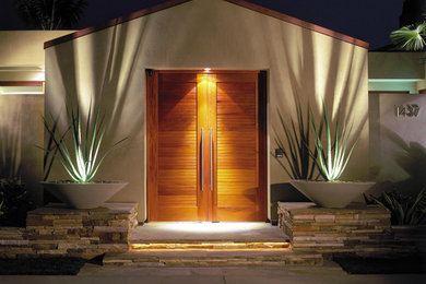 Inspiration for a contemporary entryway in Orange County.