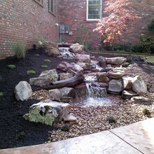 Landscape Ideas