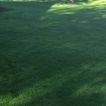 Turf Renovation!