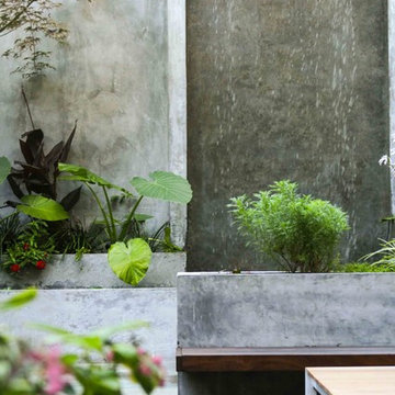 Fort Greene Modern Garden