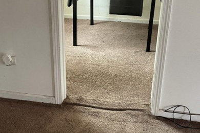 Before and After Commercial Carpet Cleaning in Lansing, IL