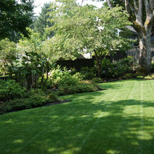 yard