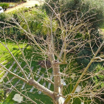 Giardini Mediterranei 2