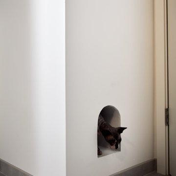 Custom Built-In Cat Tunnel with Hidden Access in Modern Drop Zone